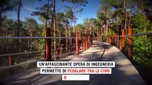 Pedalare tra le cime degli alberi: la straordinaria pista ciclabile nella foresta