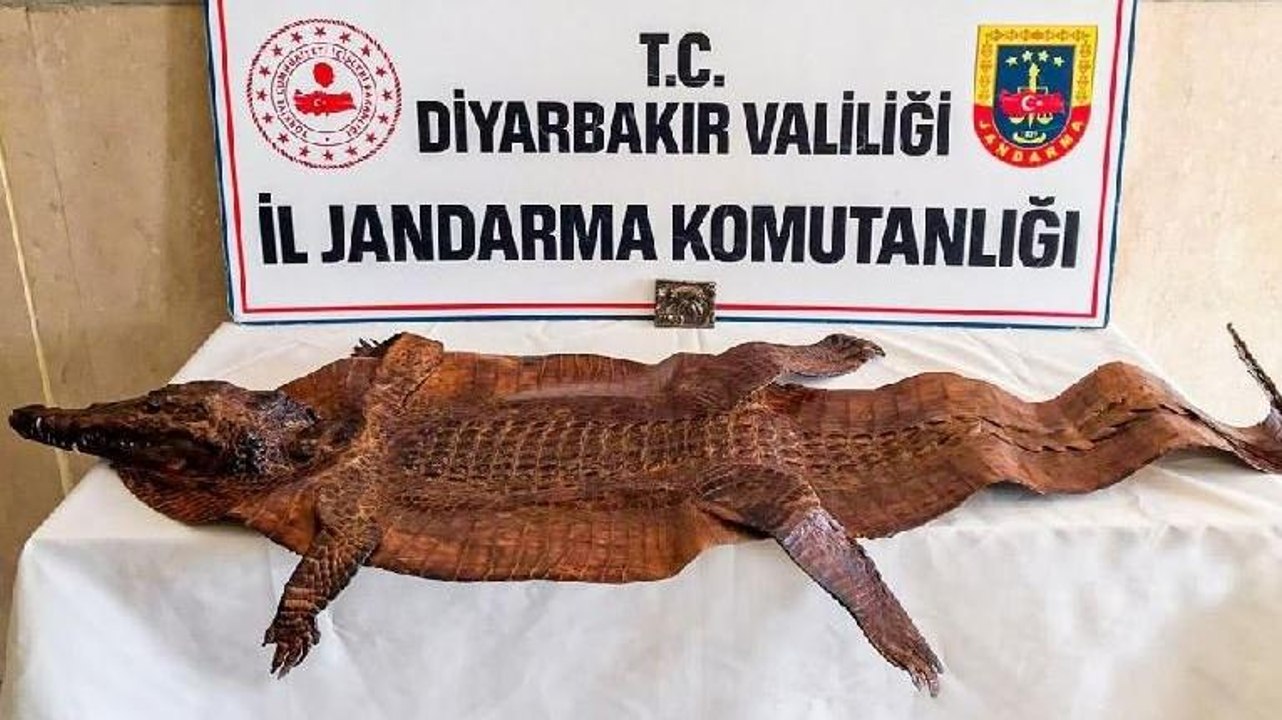 2 milyon dolarlık tarihi eser operasyonu: 4 gözaltı