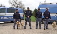 Botti di Capodanno, consigli della Polizia per festeggiare in sicurezza e tutelare gli amici animali (30.12.21)
