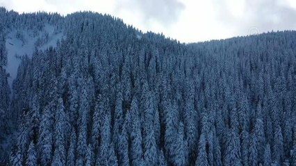 Download Video: KASTAMONU - Kar kalınlığının 40 santimetreye yaklaştığı Ilgaz Dağı havadan görüntülendi