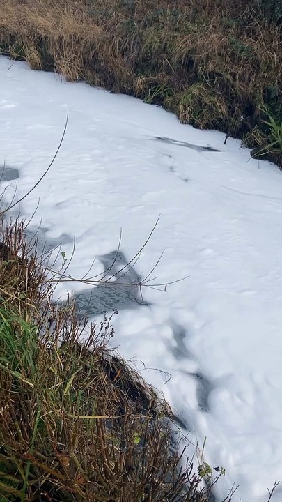 Foam in the River Lostock