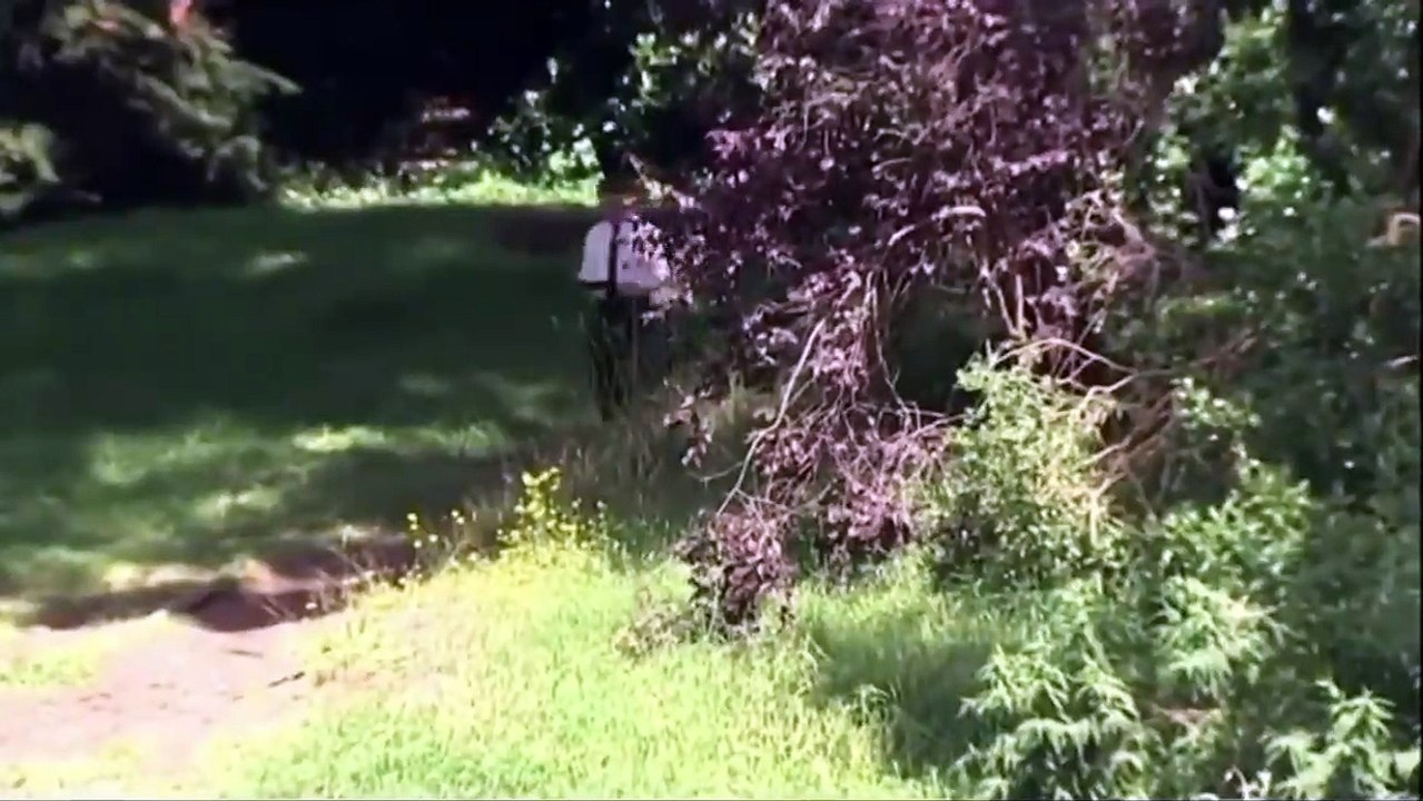 Basın açıklamasına geç kalan bakanın yerine annesi özür diledi; "Takım elbisesini evde unutmuş"