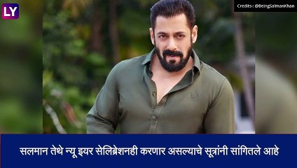 बॉलीवूडचा सुलतान सलमान खान दिसला रिक्षा चालवताना, रिक्षा चालवतांनाचा व्हिडियो वायरल