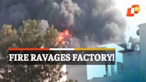 Massive Fire Ravages Garment Factory In Ludhiana, Punjab