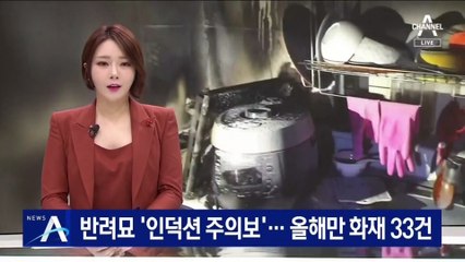 반려묘 ‘인덕션 주의보’…올해만 화재 33건
