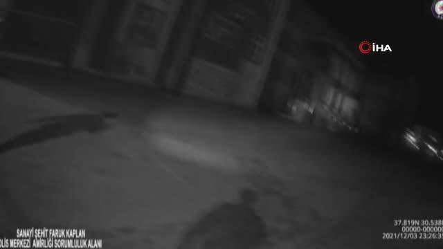 Gece kartalları sokak hayvanlarını unutmadı, o anları yaka kamerasına böyle yansıdı