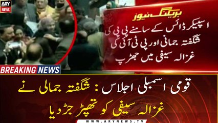 National Assembly session: Shagufta Jamali slapped Ghazala Saifi