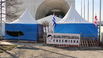 Georgia, l'ex presidente Saakashvili torna in carcere