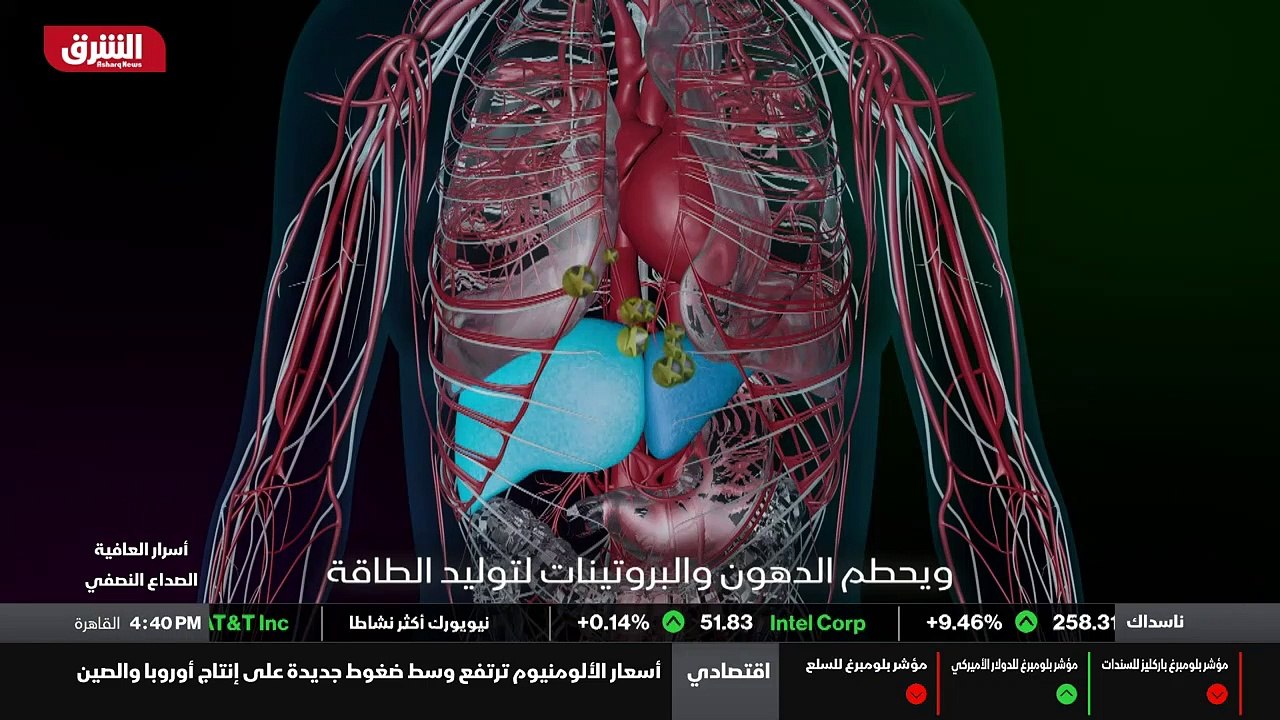 ...س علمت اعصاب مريضة الصداع النصفي . حاولت...