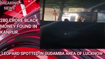LEOPARD SPOTTED IN LUCKNOW  LEOPARD ON PROWL IN LUCKNOWS  STREETS CAPTURED AFTER 3 DAYS 7 INJURED