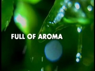 SMALL CUP, BIG DIFFERENCE!