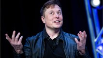 Elon Musk croit savoir qui est Satoshi Nakamoto, le mystérieux créateur du bitcoin