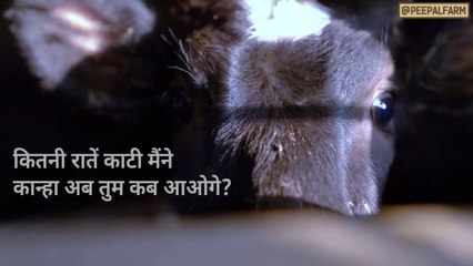 हे ईश्वर, मुझे ना जन्माना तुम! - Hindi Poetry