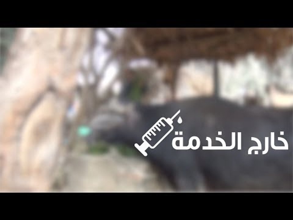 خارج الخدمة.. تحقيق يكشف تردي أوضاع الوحدات البيطرية