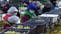 El precio de las uvas para Nochevieja se dispara en España