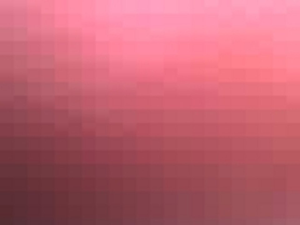 regis bourre Bastien radiateur