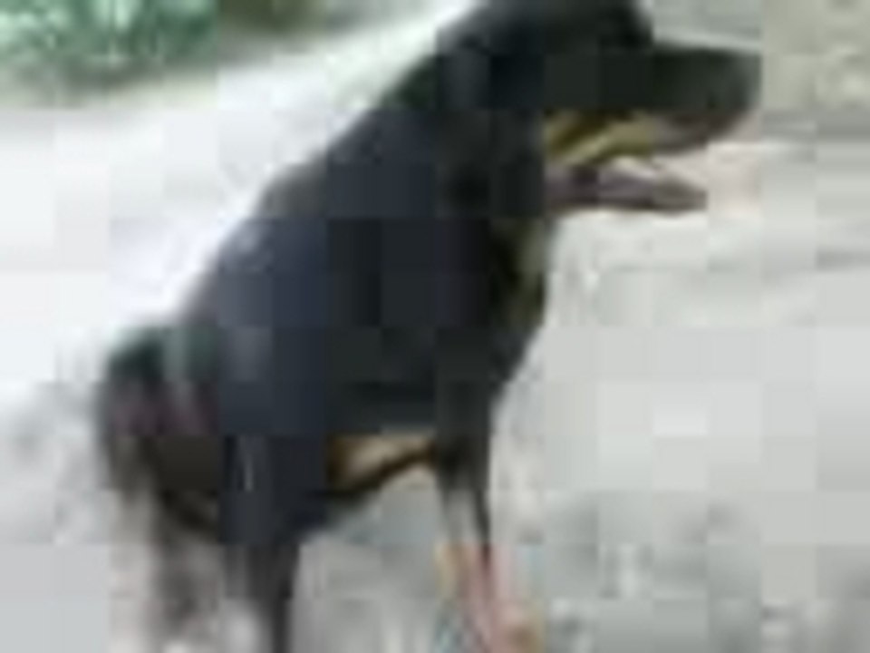 Greg 19.06.2005 anniv Céline (Royce)