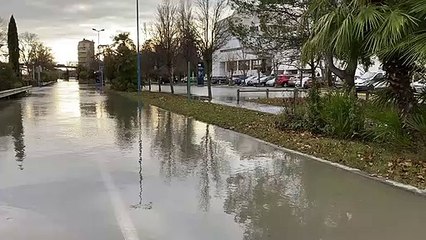 Le Rhône en crue à Guilherand-Granges