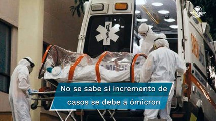 Hay un ligero repunte de casos, pero aún no se puede hablar de una nueva ola: Sheinbaum