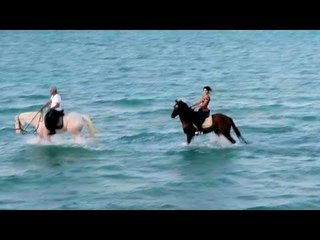 في طقوس خاصة.. رواج سياحة الخيول على شواطئ الغردقة