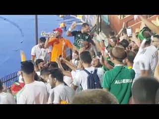بـإلعب يلا.. جمهور الجزائر يحتفل بالصعود لدور الـ16 من أمم إفريقيا