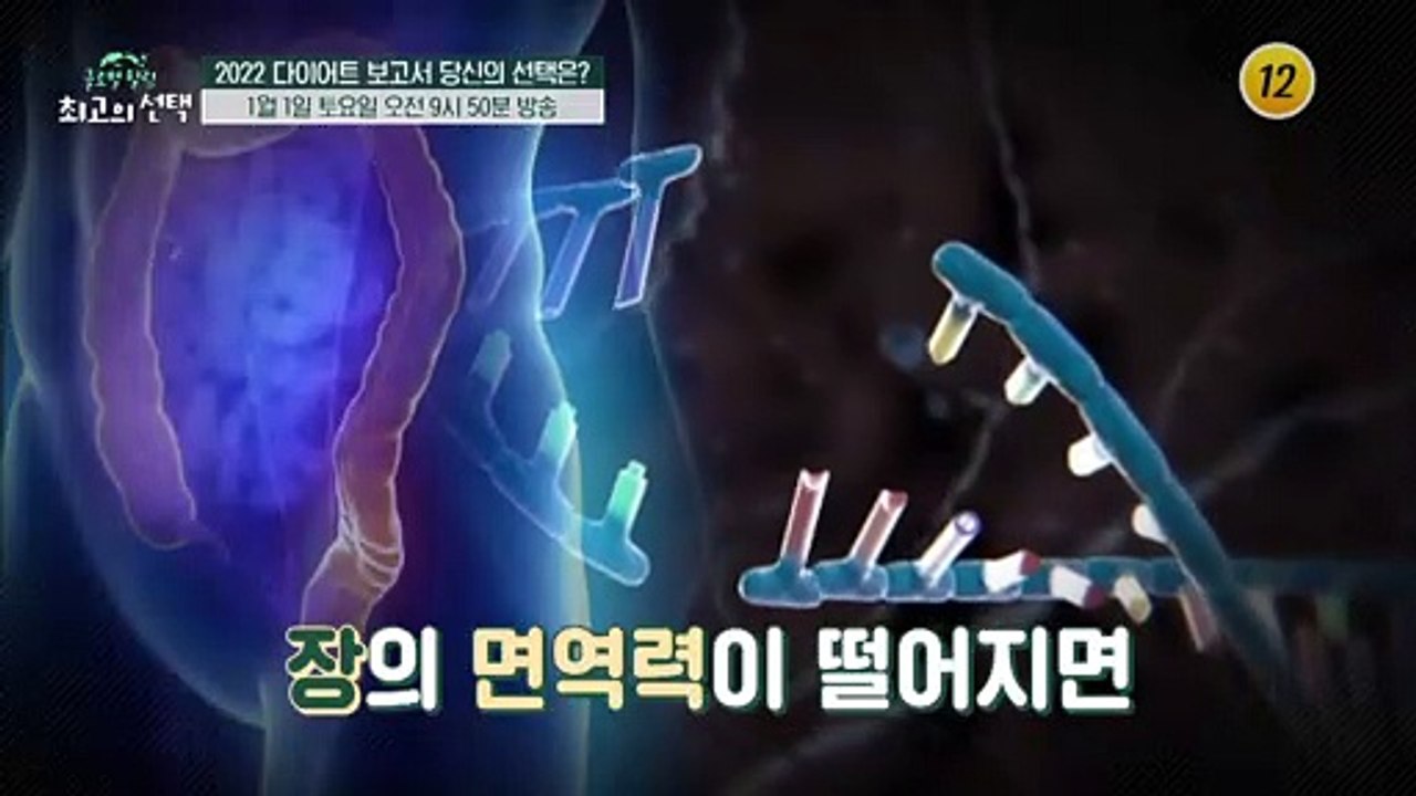 2022 다이어트 보고서 당신의 선택은?_글로벌 힐링 최고의 선택 27회 예고 TV...