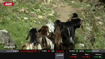 ...يا ابني أنا بالنسبة إلى حلول...