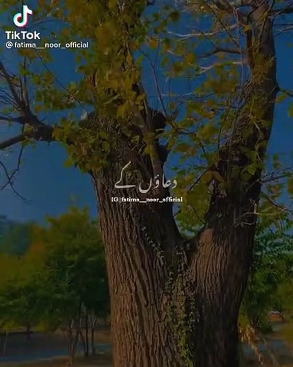 Falak tak chal sath mere