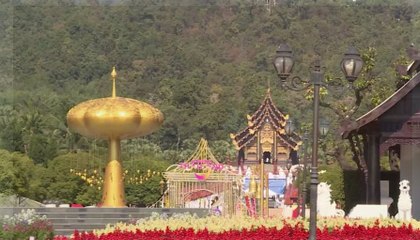 ข่าวเที่ยง (ในประเทศ) วันศุกร์ที่ 31 ธันวาคม 2564