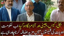 Sindh Information Minister Saeed Ghani talks to media