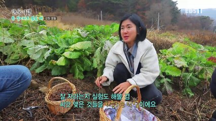 한국기행 - Korea travel_한 살이라도 젊을 때 5부- 밭멍하실래요?_#001