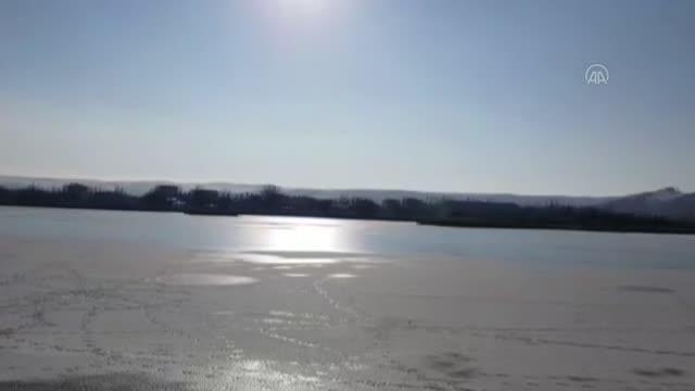 Yaban hayvanları için doğaya yem bırakıldı