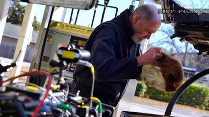 What The Actor Who Plays Michael Myers Really Looks Like
