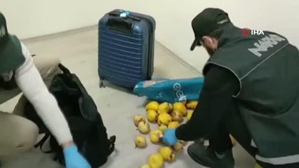 Isparta'da otobüsün içindeki yolcudan 4 bin 103 gram uyuşturucu çıktı