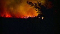 Ausnahmezustand im US-Bundesstaat Colorado: Waldbrand breitet sich rasend schnell aus