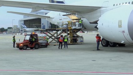 Израиль одним из первых получил таблетки от COVID-19