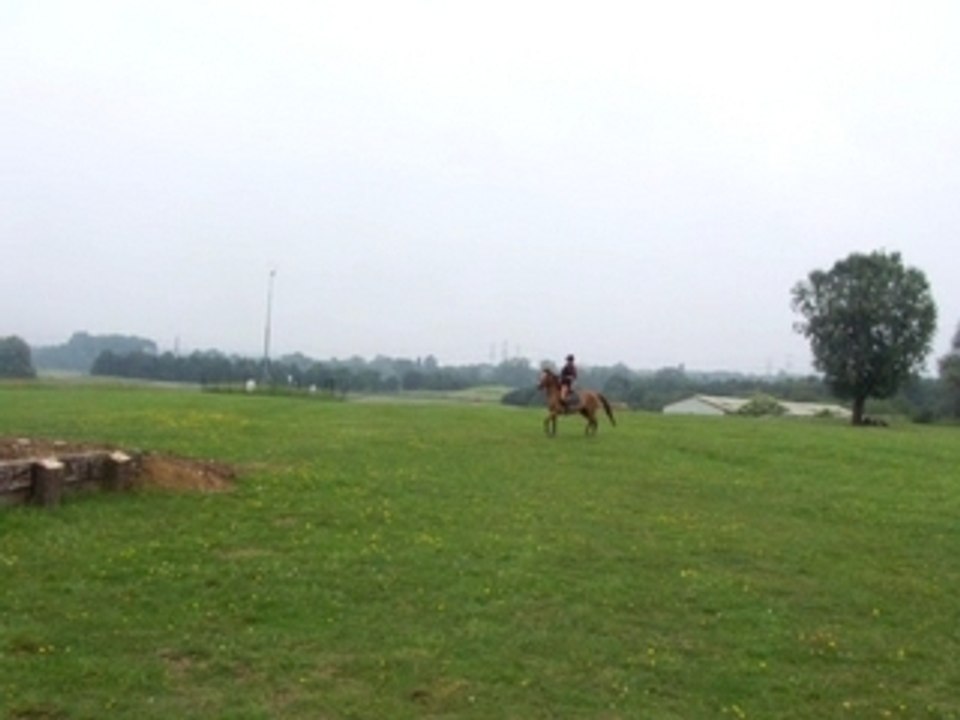 Shade & Ourasi cross