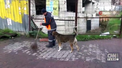 Temizlik işçisi ile köpeğin dostluğu yürek ısıttı