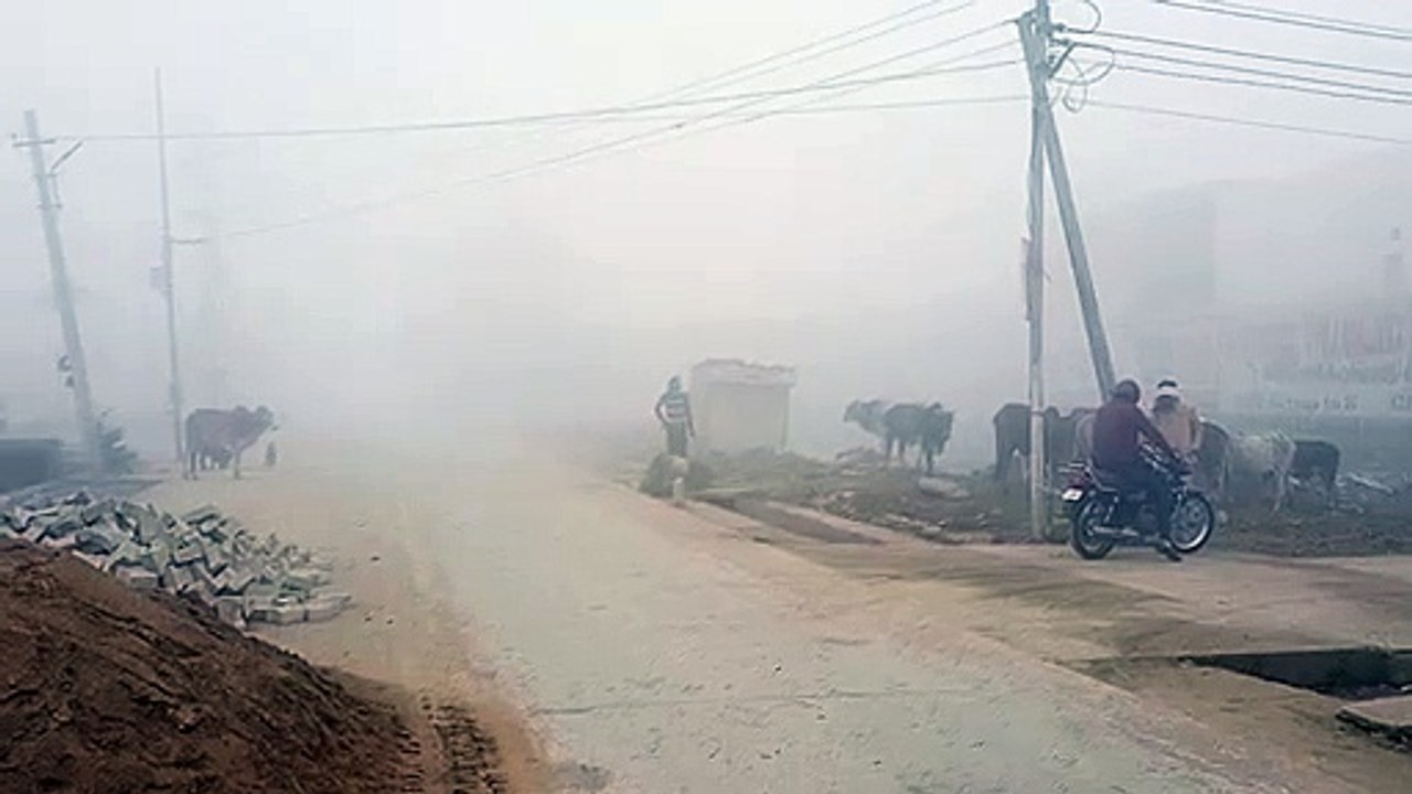 Cold Wave in Rajasthan- जोबनेर शून्य डिग्री तो...