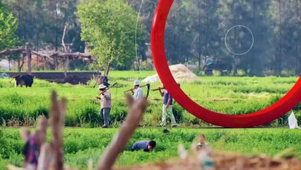 ...ثير التوتر على الحمض النووي تلعب دورا فق...