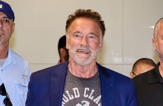 Arnold Schwarzenegger has donated 25 tiny houses to homeless veterans