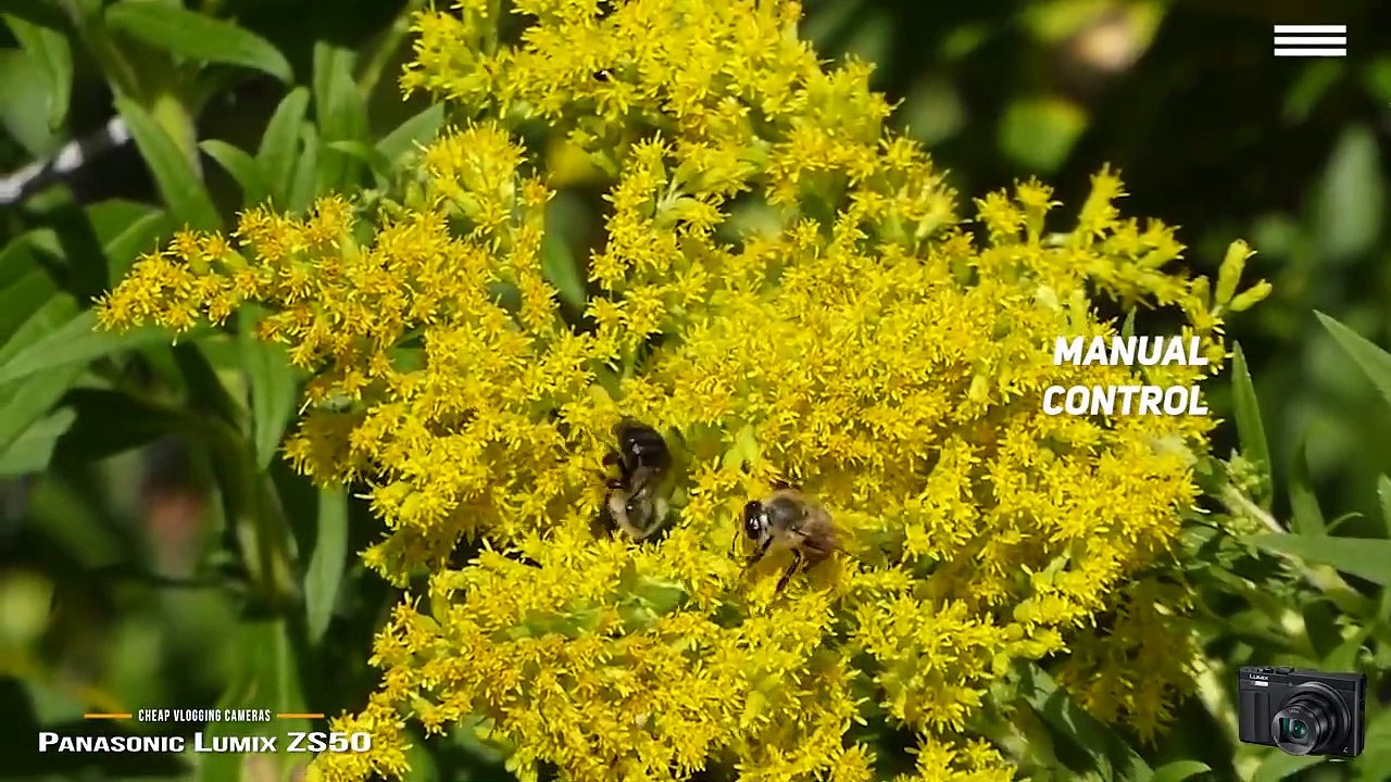 TOP 5_ Best Cheap Vlogging Camera 2021