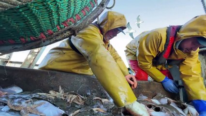 Brexit: Ένας χρόνος με προβλήματα για τους Βρετανούς