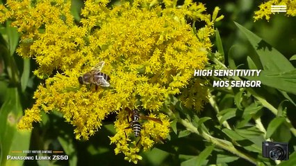 TOP 5_ Best Budget Camera for Youtube 2021