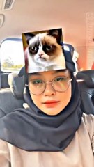 Jedag Jedug Filter Meme Cats Test Viral Tiktok