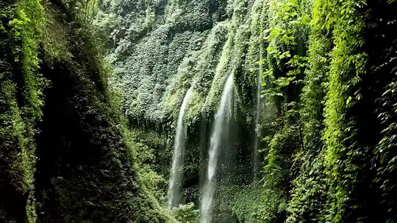 ANEKA  CARA PERAWATAN KECANTIKAN ALAMI