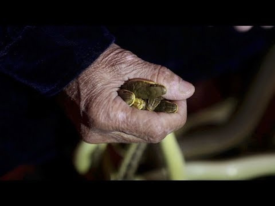 صائدات الثعابين حياه في حضن الأفاعي