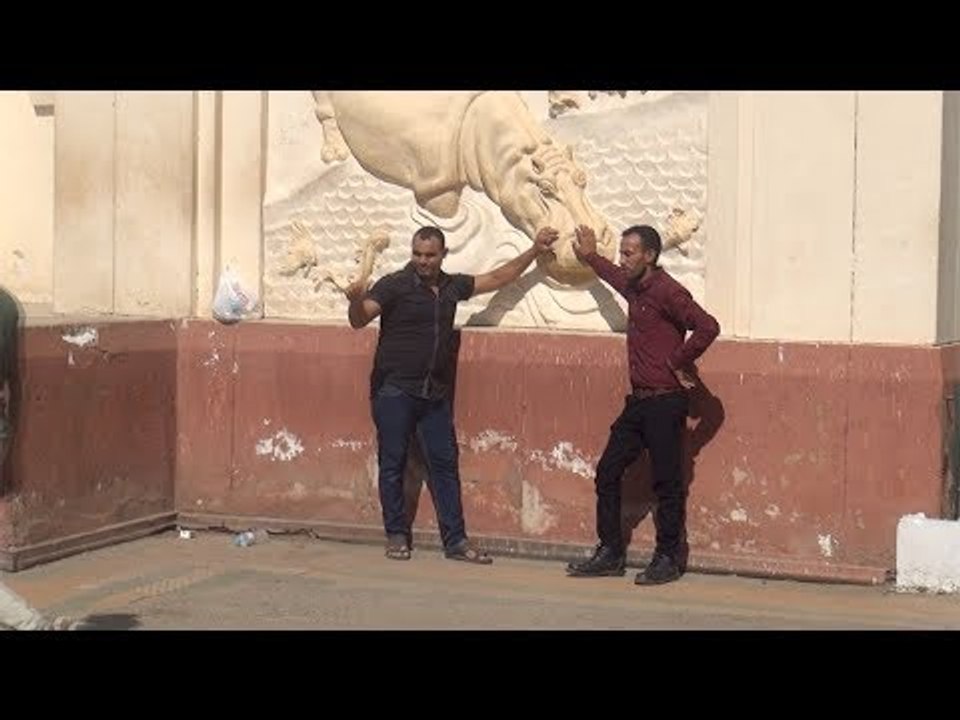 حديقة حيوان الجيزة تستقبل 43 ألف زائر وسط إقبال متزايد