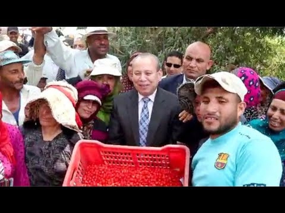 محافظ كفر الشيخ يشارك مزارعي قلين فرحتهم بـ جني محصول الفلفل الأحمر