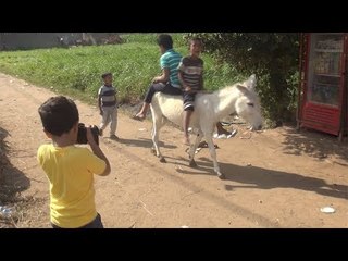 عبدالرحمن احترف التصوير برفقة والده.. عمره 8 أعوام